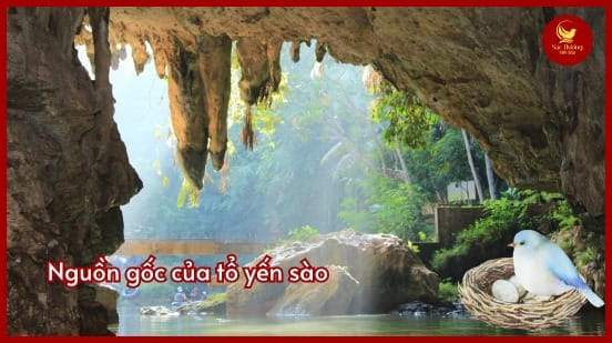 tại sao gọi là yến sào