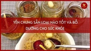 yến chưng sẵn loại nào tốt